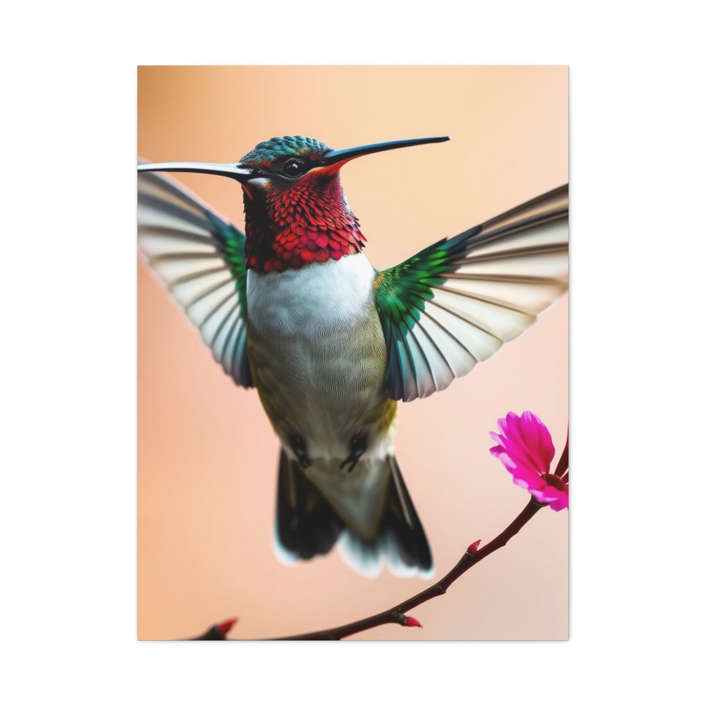 Elite Humming Bird Art Vision Wall Art & Canvas Print