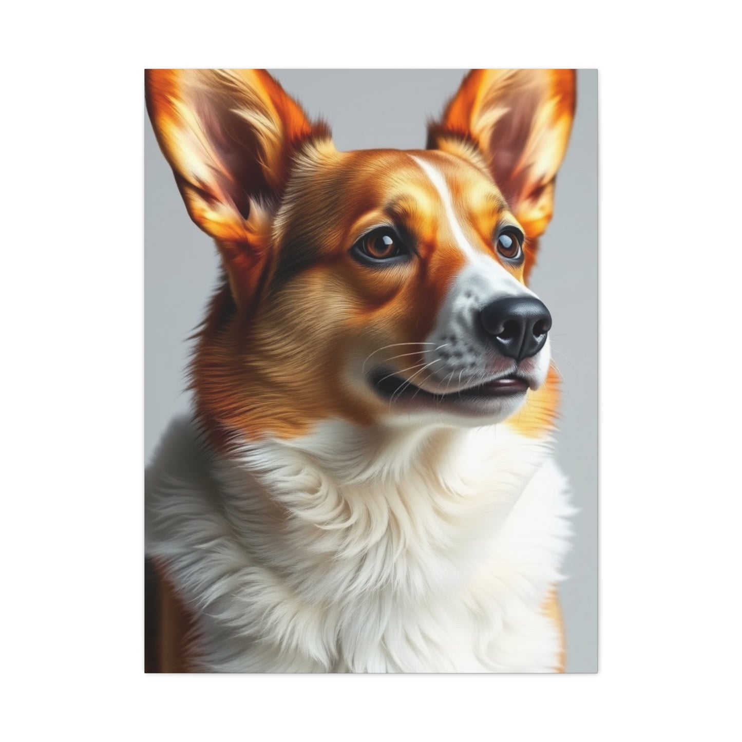Collection Corgi Dog Art Art Wall Art & Canvas Print