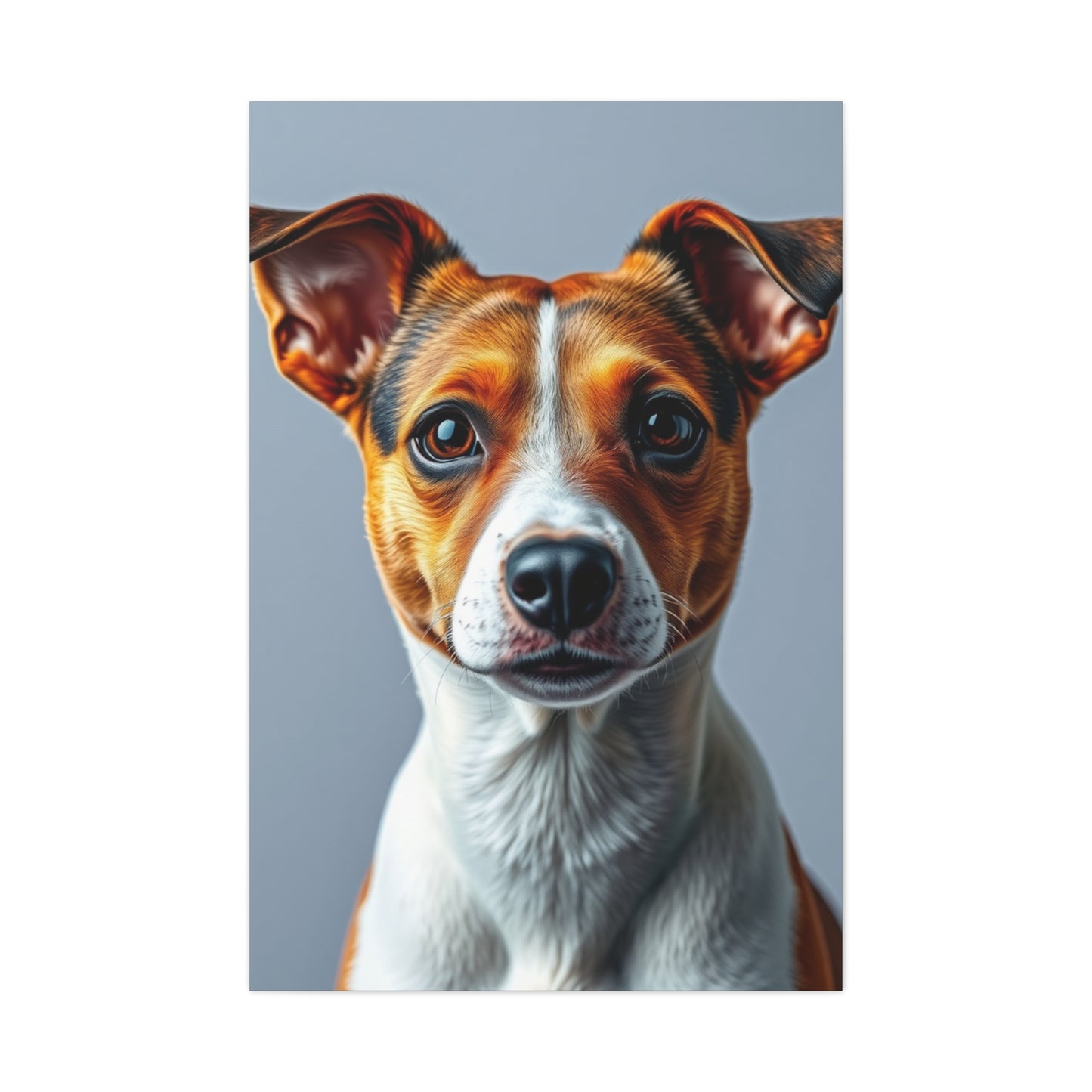 Jack Russell Terrier Art Supreme Gallery Wall Art & Canvas Print