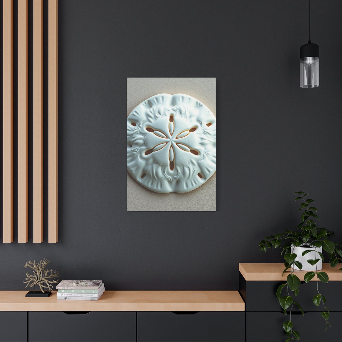 Sand Dollar Art Luxury Canvas Wall Art & Canvas Print