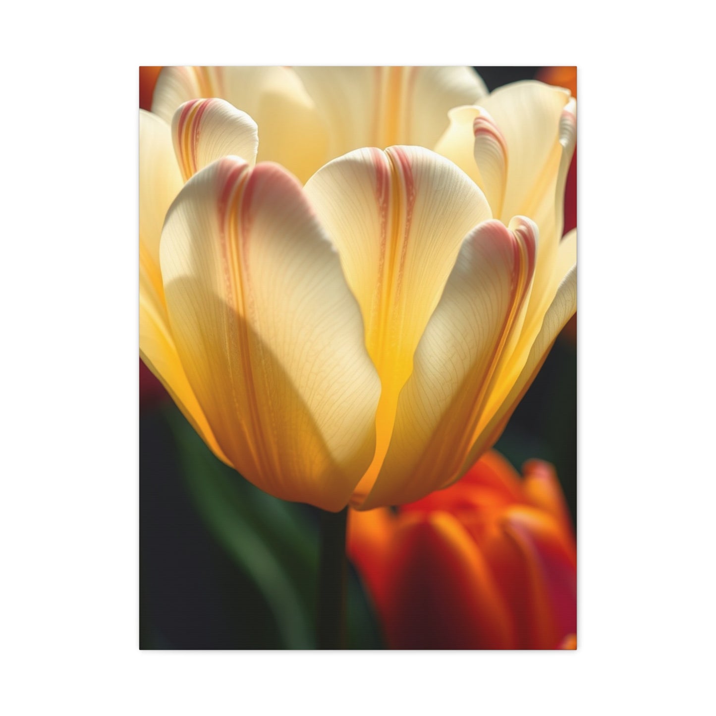 Collection Tulip Flower Art Art Wall Art & Canvas Print