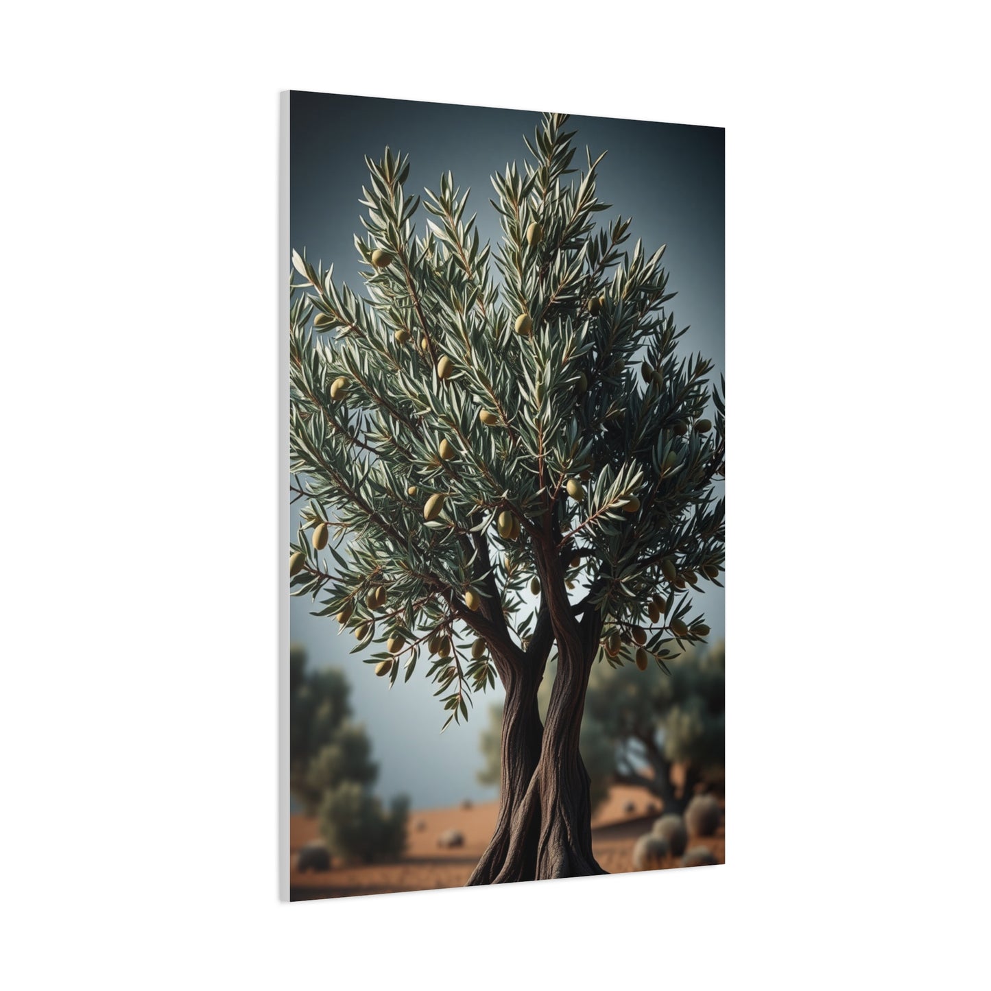 Olive Tree Art Supreme Gallery Wall Art & Canvas Print
