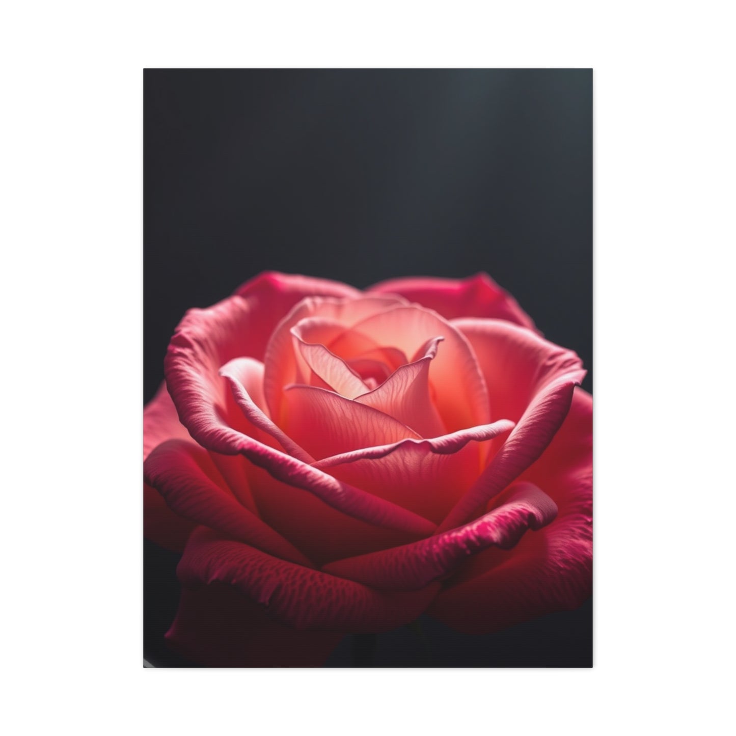 Rose Flower Art Supreme Gallery Wall Art & Canvas Print