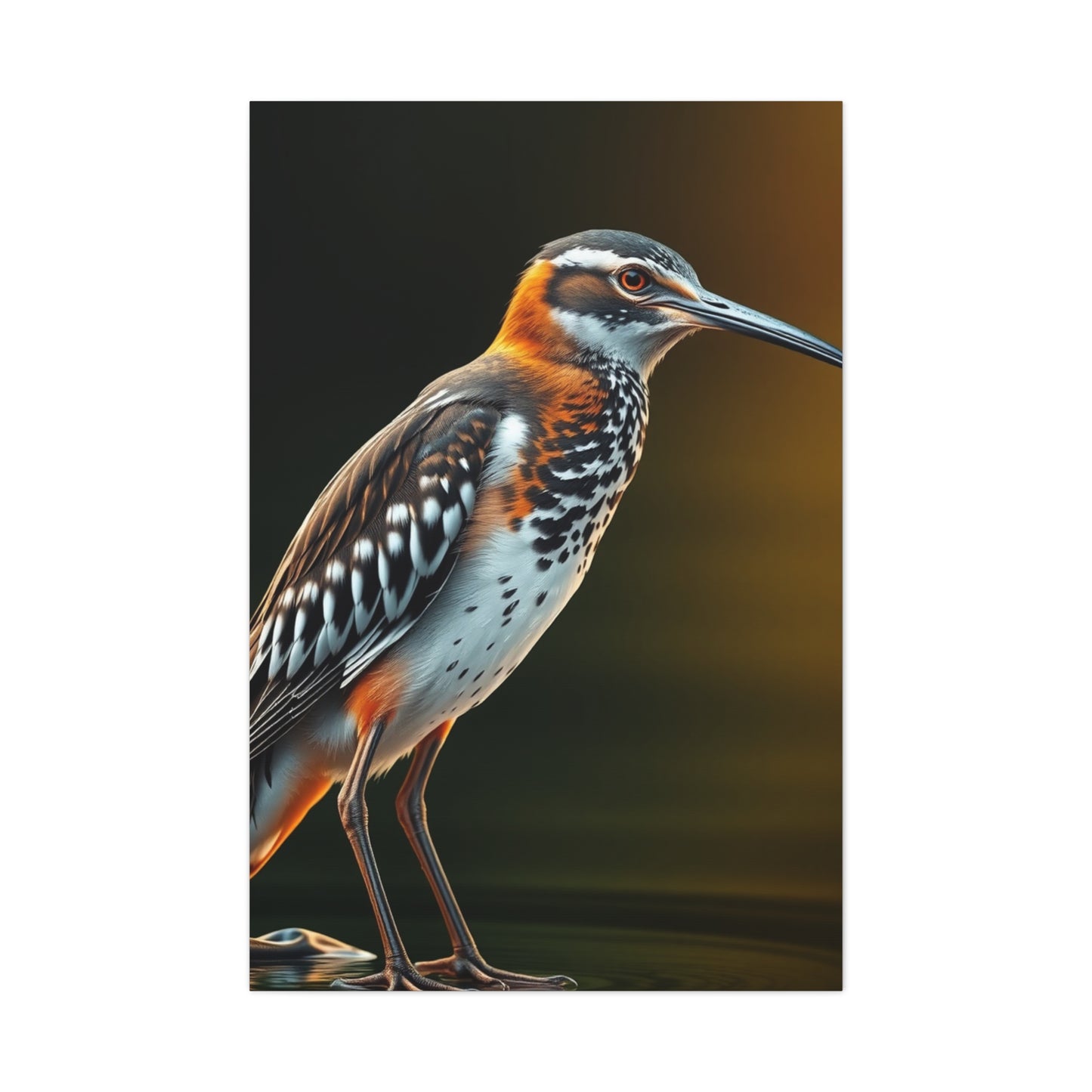 Supreme Sandpiper Art Collection Wall Art & Canvas Print