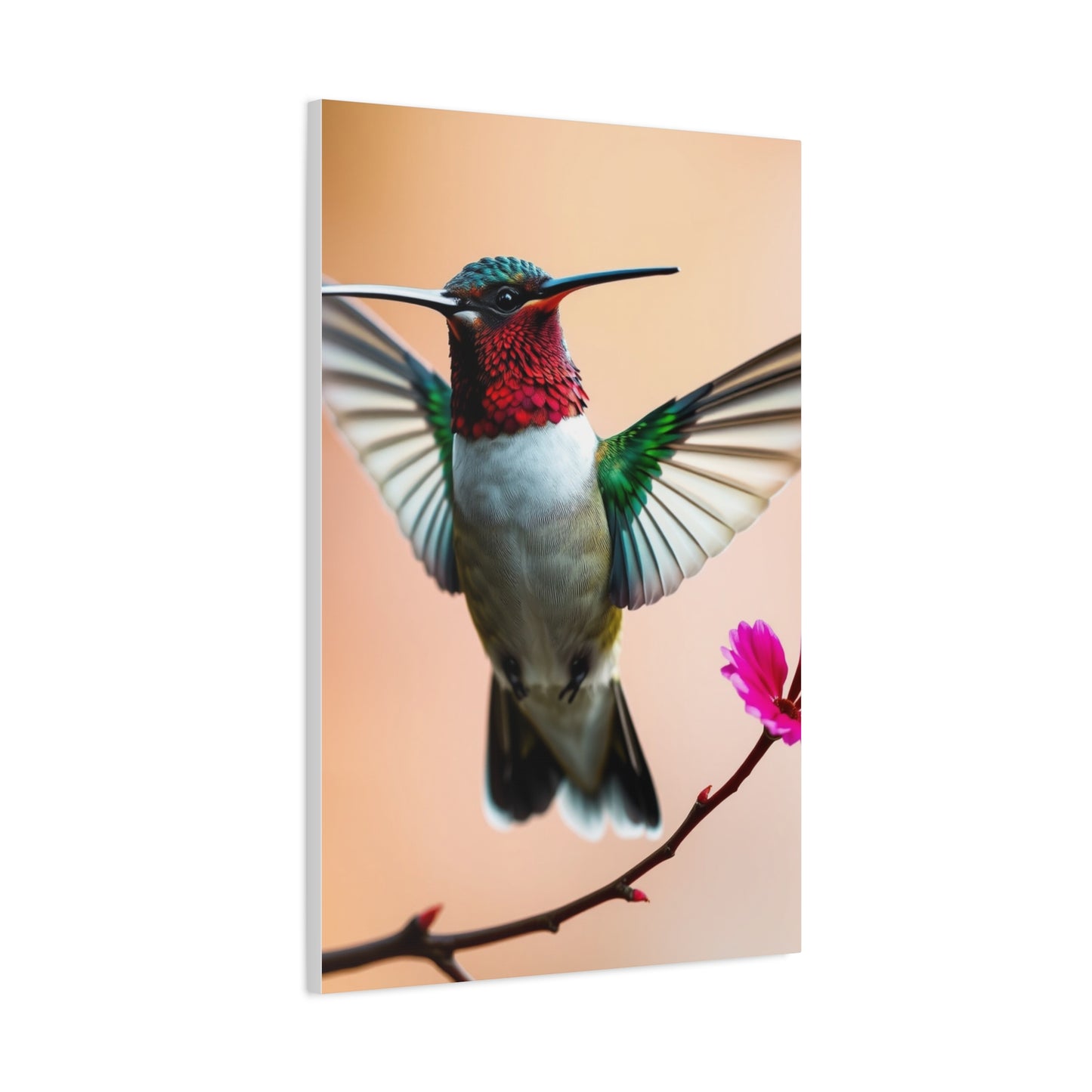 Elite Humming Bird Art Vision Wall Art & Canvas Print