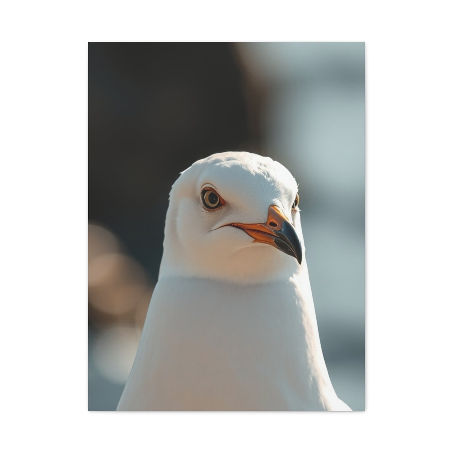 Sea Gull Art Supreme Gallery Wall Art & Canvas Print