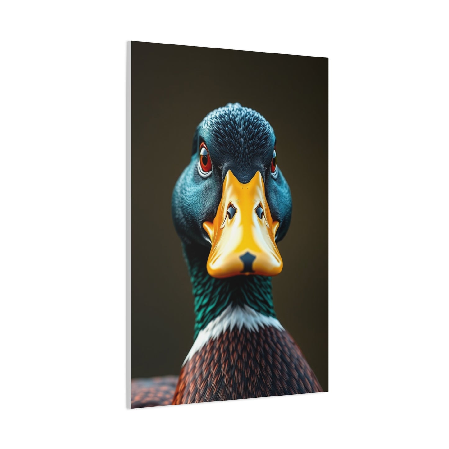 Elite Duck Art Vision Wall Art & Canvas Print