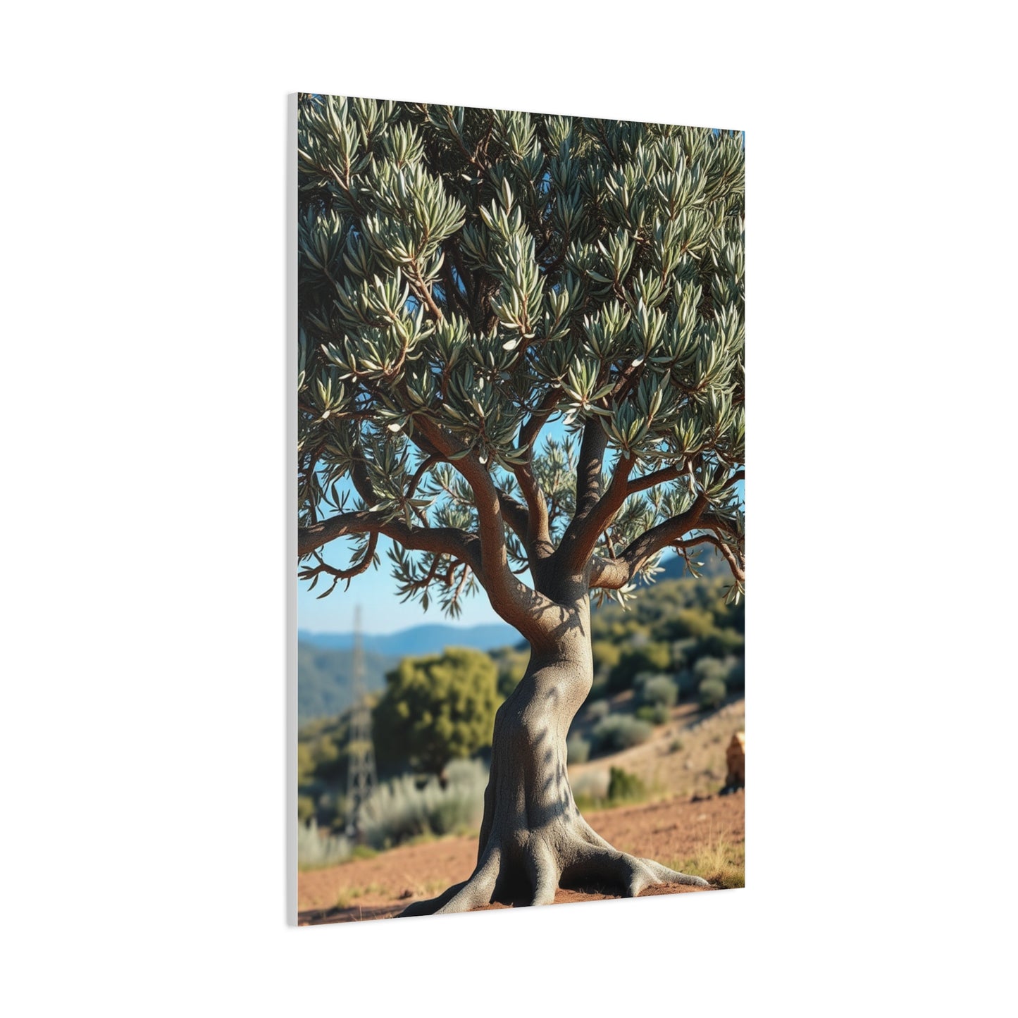 Masterpiece Olive Tree Art Vision Wall Art & Canvas Print