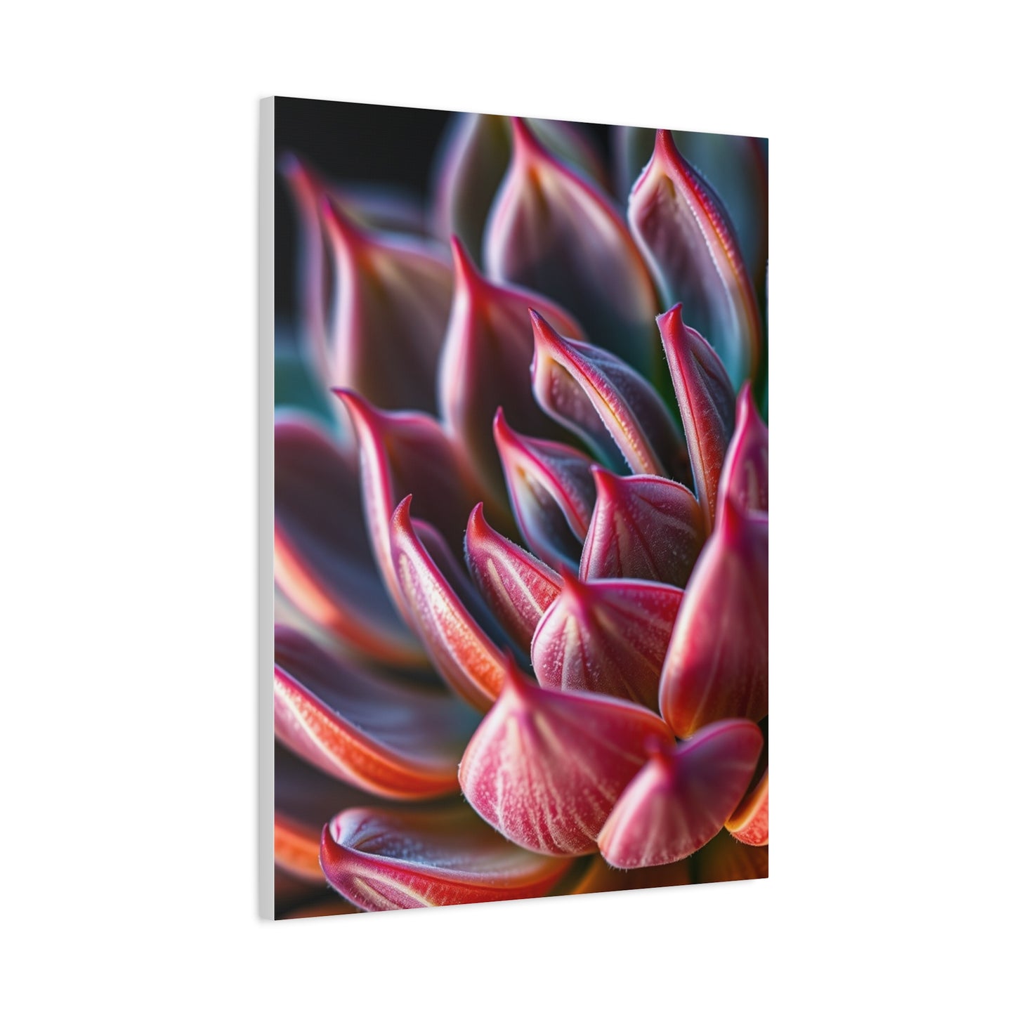 Collection Succulent Art Art Wall Art & Canvas Print