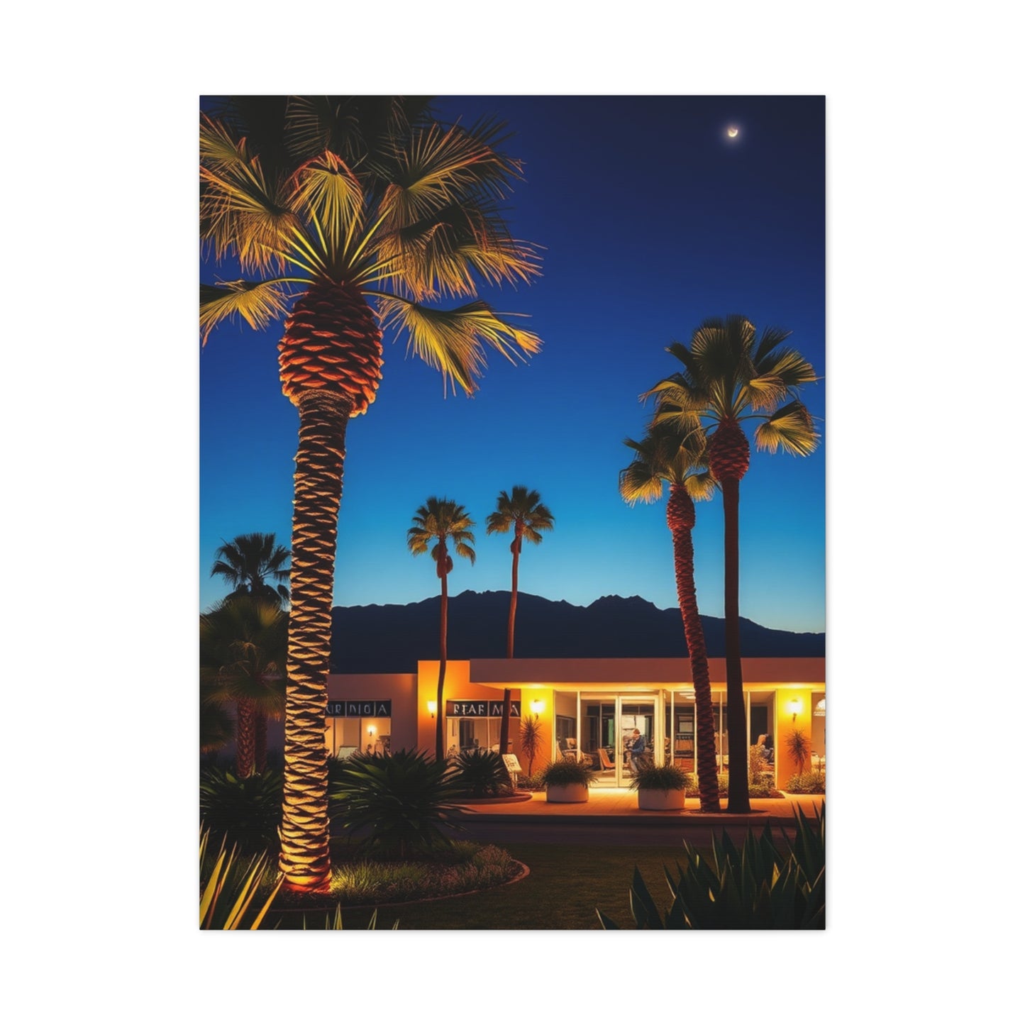 Palm Springs Art Refined Canvas Wall Art & Canvas Print