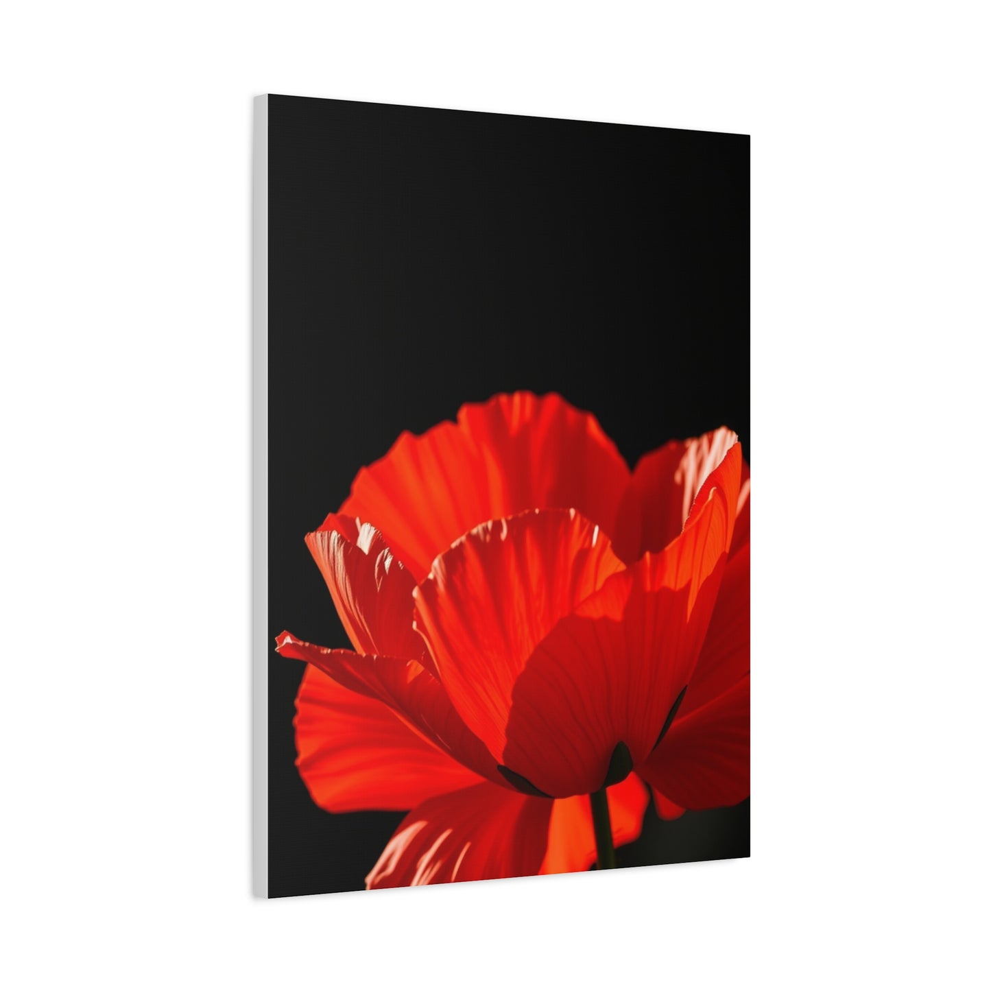 Supreme Poppy Flower Art Collection Wall Art & Canvas Print