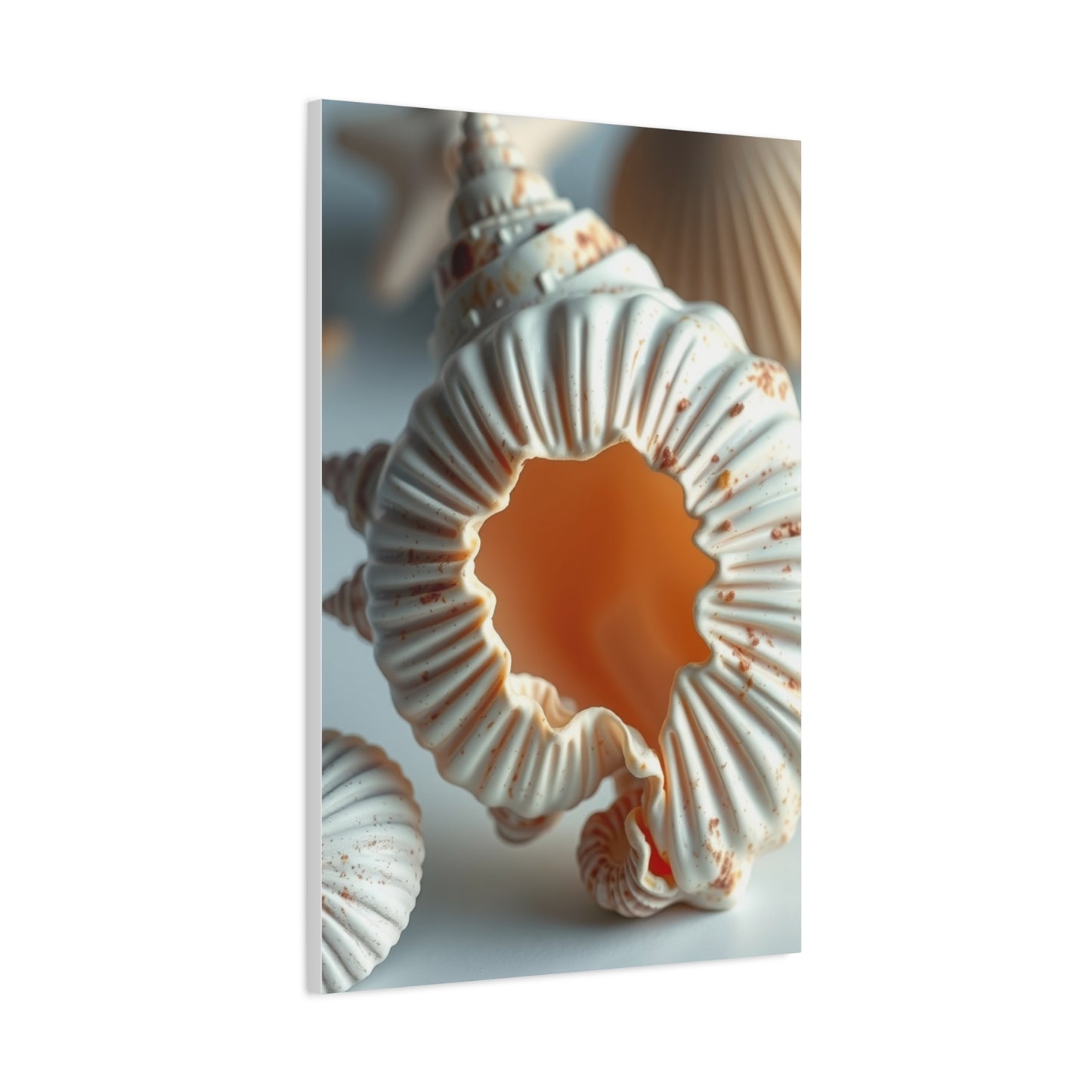 Sea Shell Art Supreme Gallery Wall Art & Canvas Print