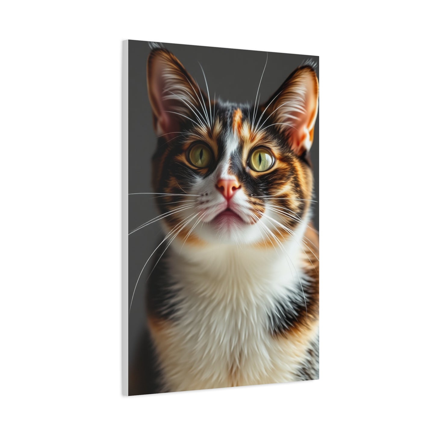 Vision Calico Cat Art Art Wall Art & Canvas Print
