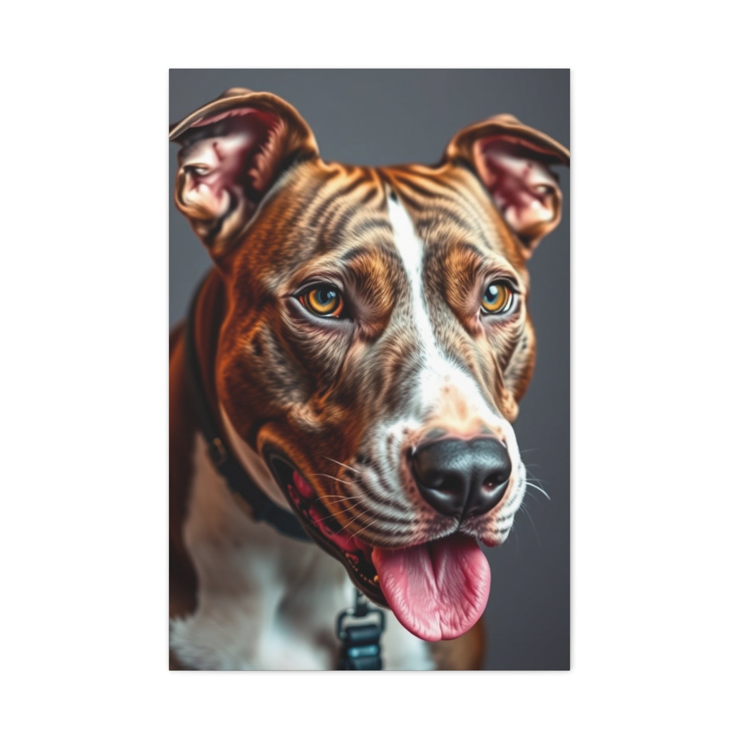 Supreme Pit Bull Art Collection Wall Art & Canvas Print