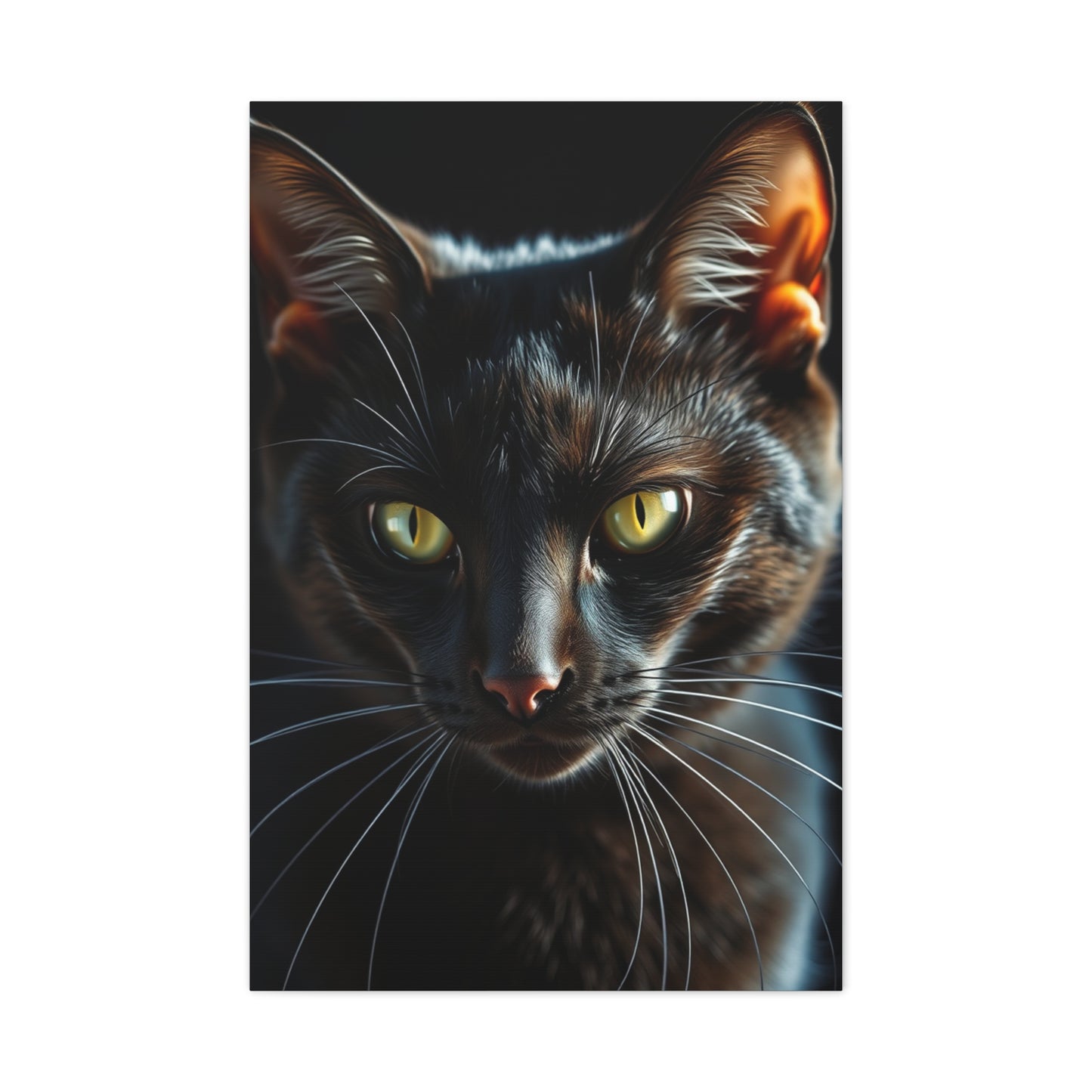 Vision Black Cat Art Art Wall Art & Canvas Print