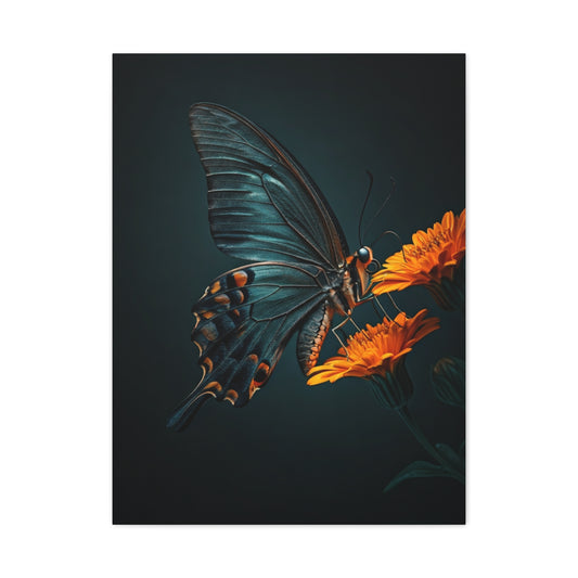 Dark Swallowtail Butterfly on Orange Blossoms Wall Art & Canvas Prints