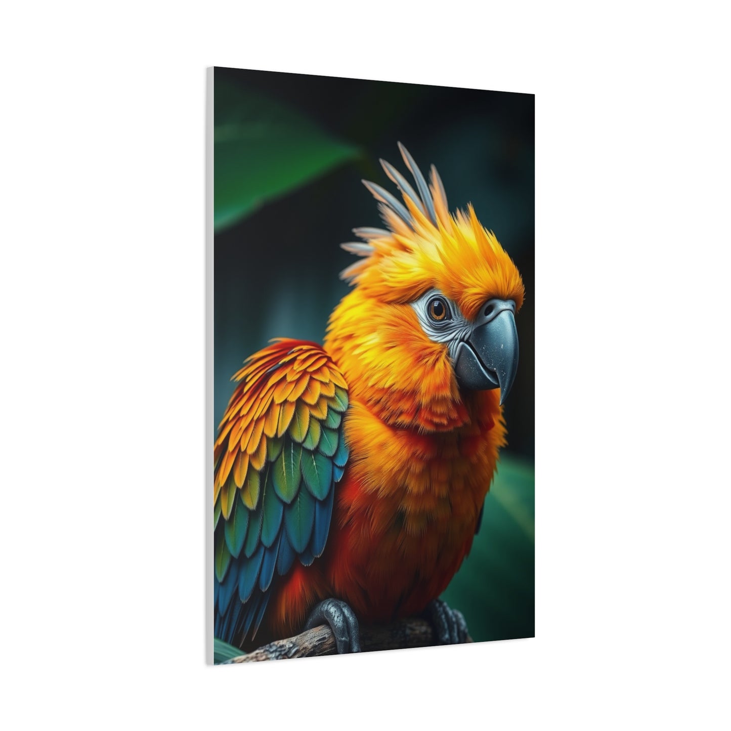 Supreme Tropical Birds Art Collection Wall Art & Canvas Print