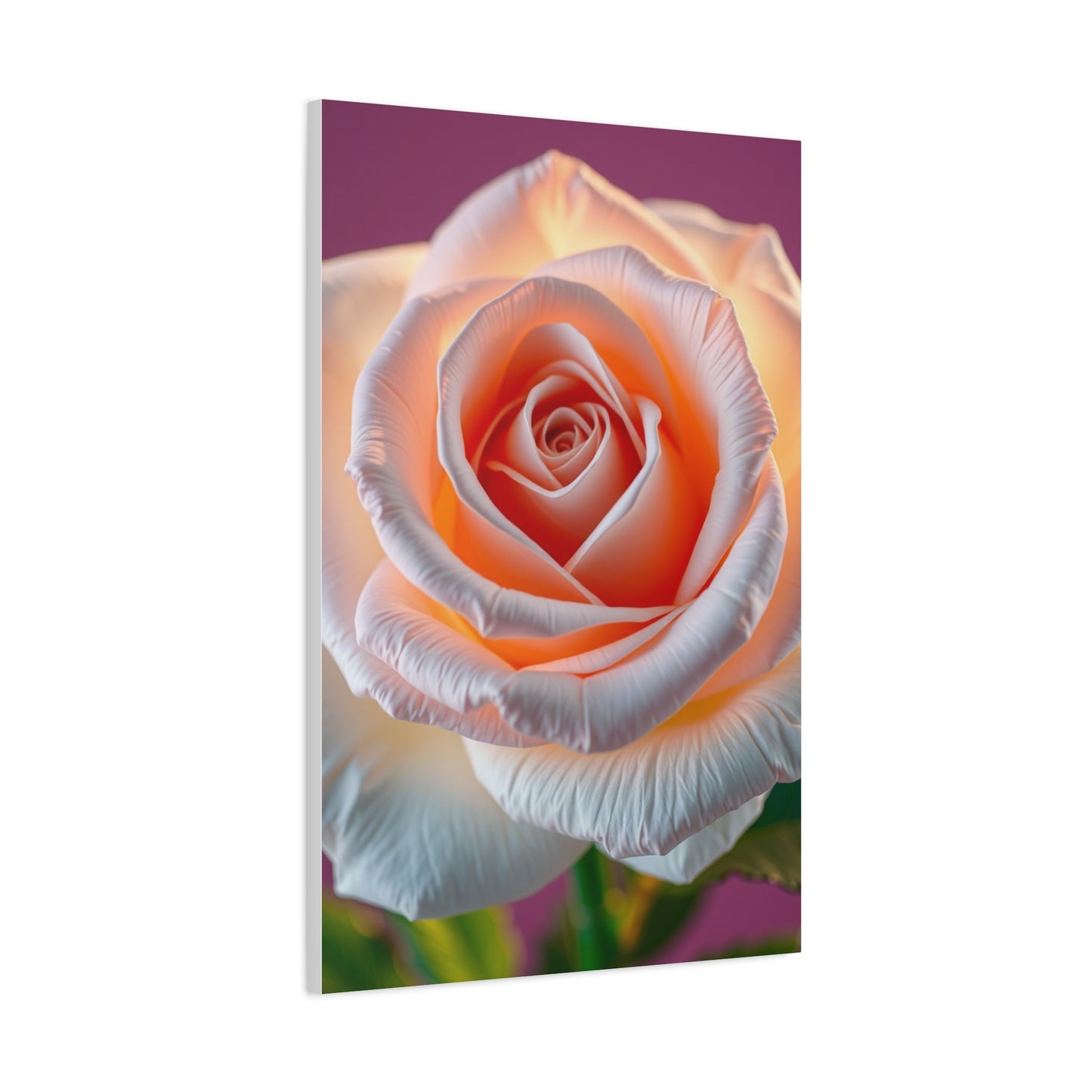 Rose Art Supreme Gallery Wall Art & Canvas Print