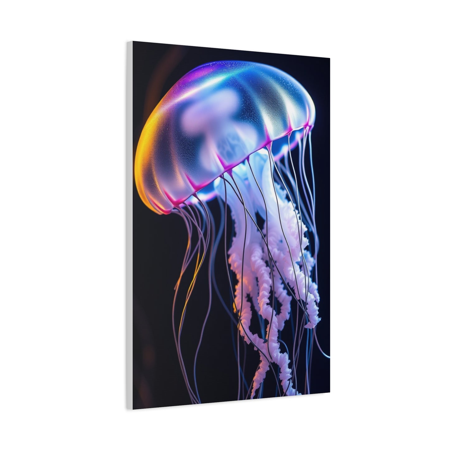 Collection Jellyfish Art Art Wall Art & Canvas Print