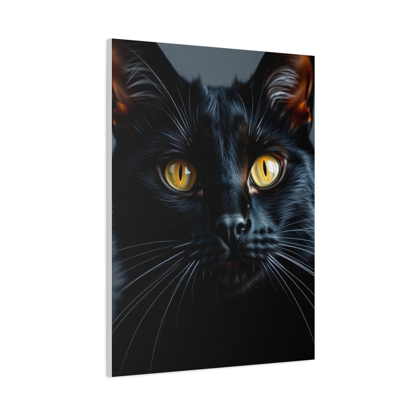Supreme Black Cat Art Collection Wall Art & Canvas Print