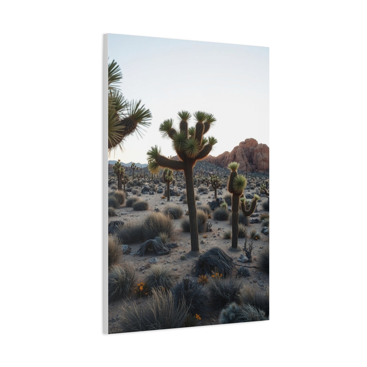Joshua Tree National Park Art Refined Canvas Wall Art & Canvas Print