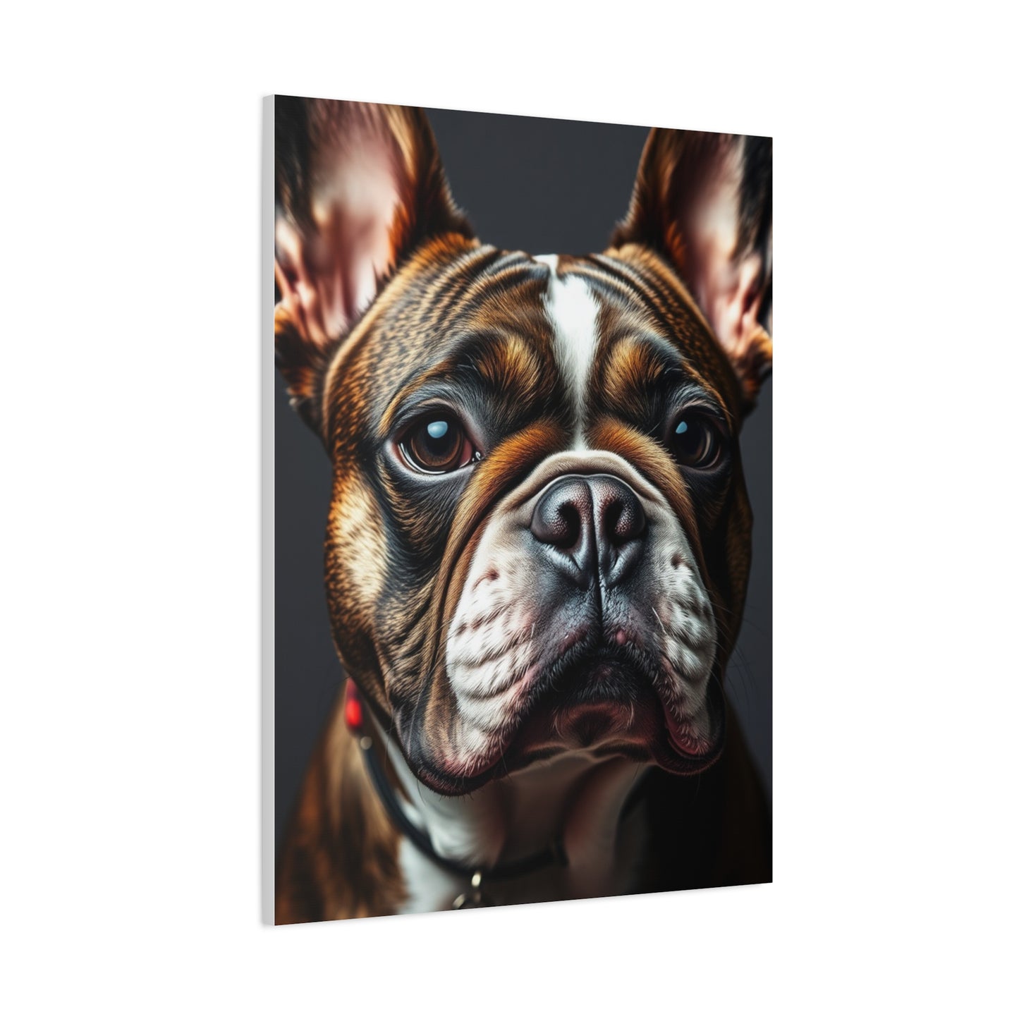 Supreme French Bulldog Art Collection Wall Art & Canvas Print
