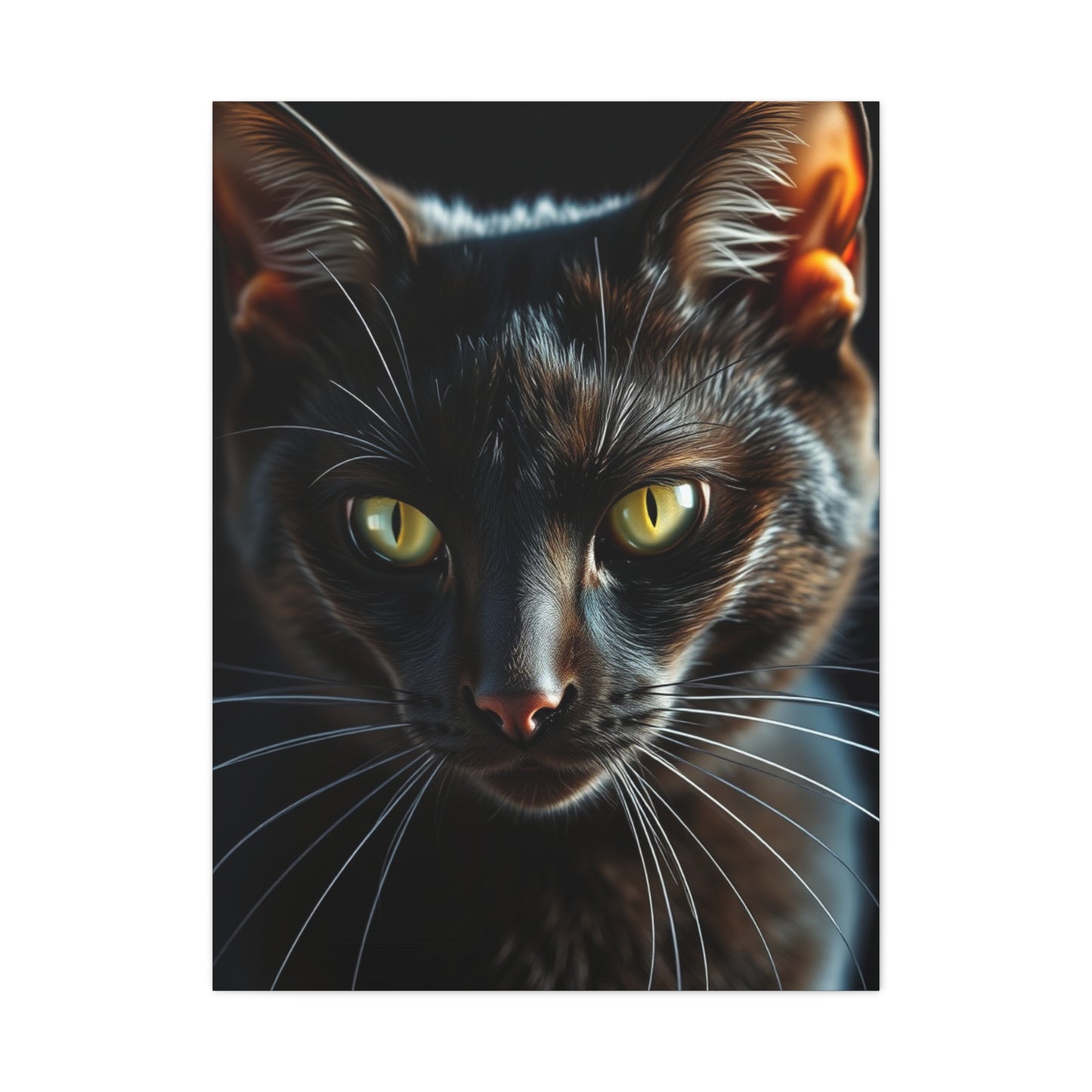 Vision Black Cat Art Art Wall Art & Canvas Print