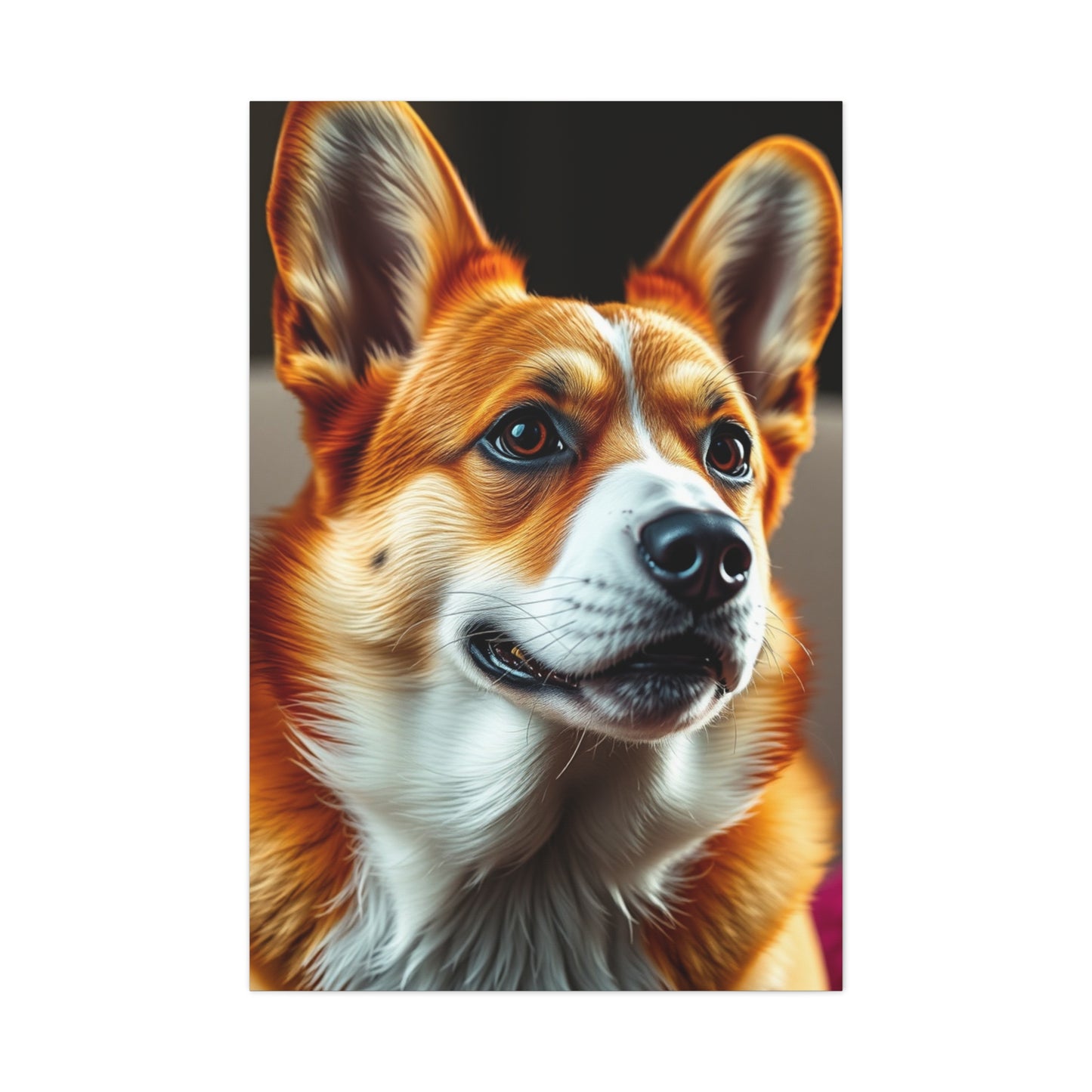 Supreme Corgi Dog Art Collection Wall Art & Canvas Print
