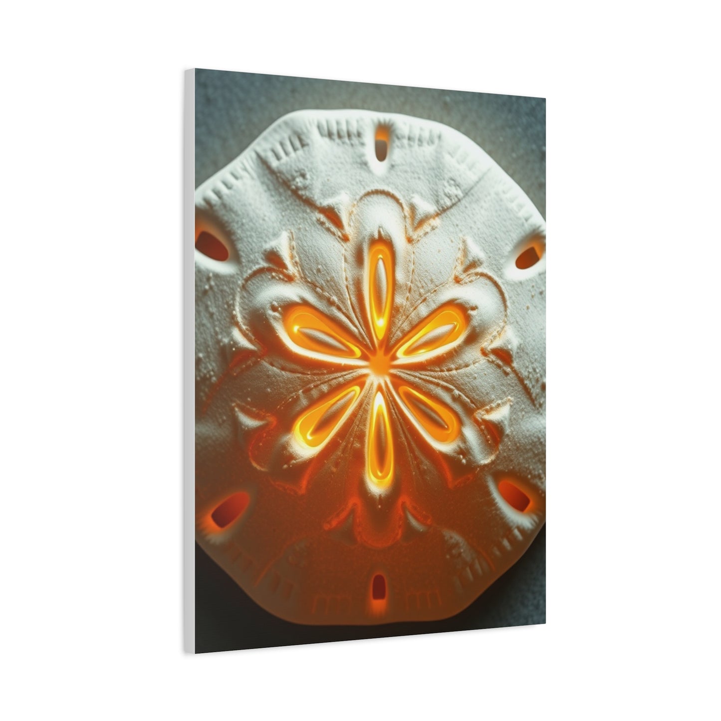 Elite Sand Dollar Art Vision Wall Art & Canvas Print