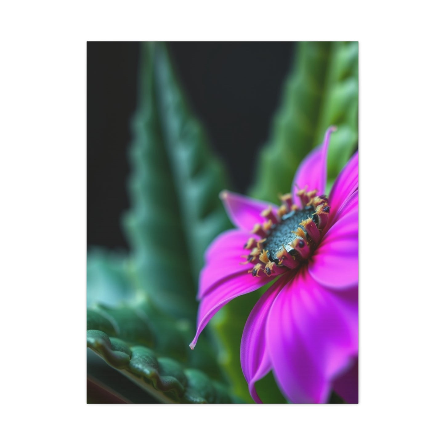 Nature Closeups Art Refined Canvas Wall Art & Canvas Print