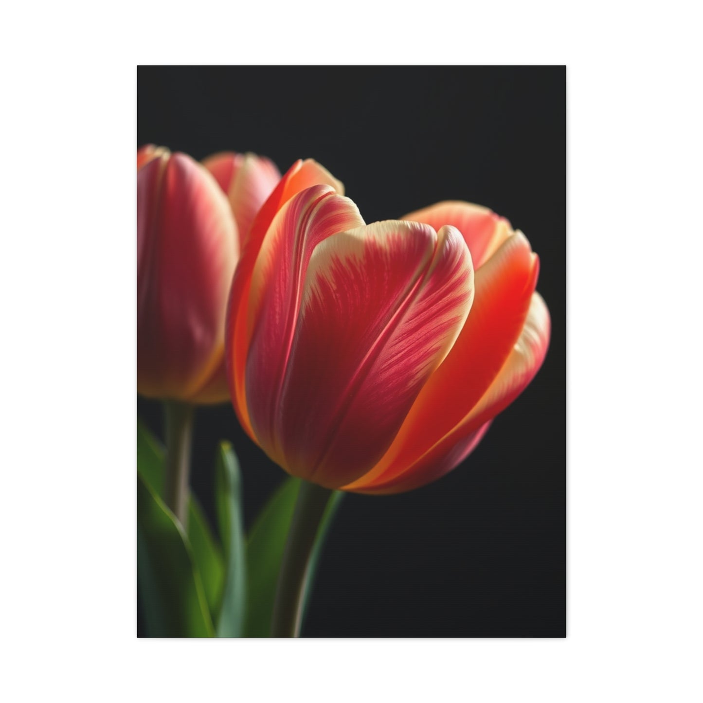 Tulip Flower Art Supreme Gallery Wall Art & Canvas Print