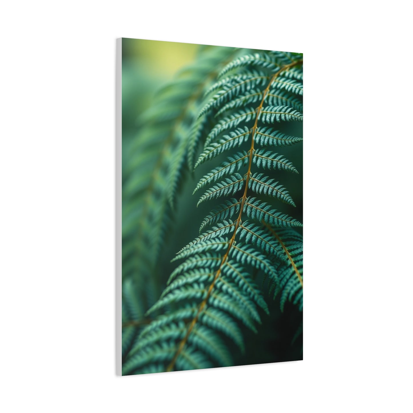 Masterpiece Fern Art Vision Wall Art & Canvas Print
