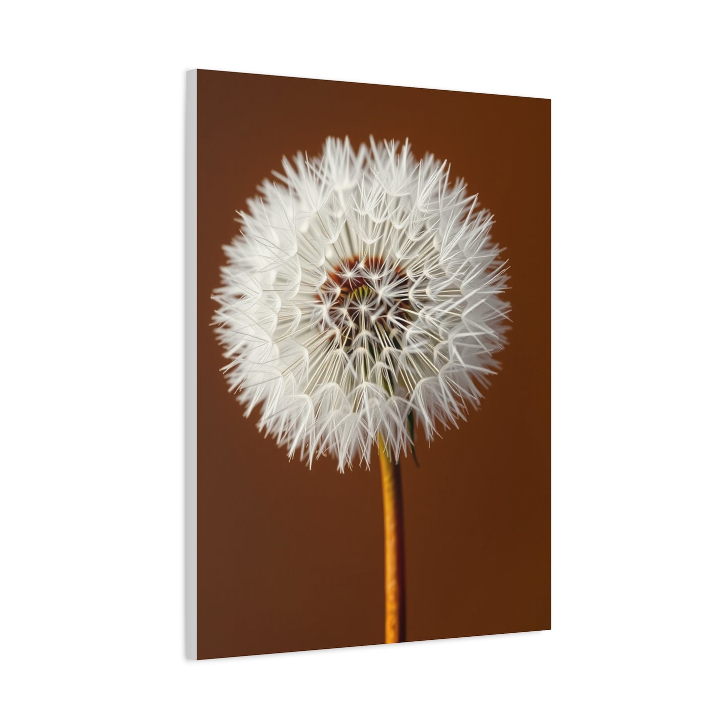 Supreme Dandelion Flower Art Collection Wall Art & Canvas Print