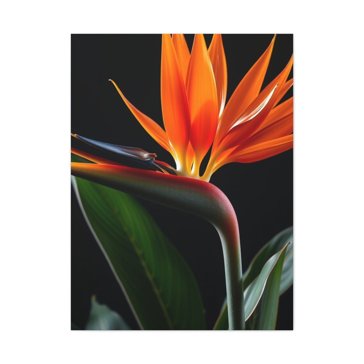 Masterpiece Bird of Paradise Plant Art Vision Wall Art & Canvas Print