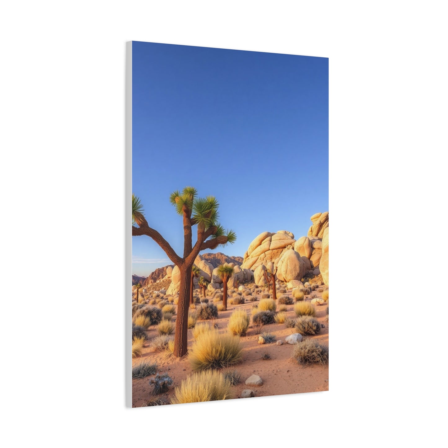 Joshua Tree National Park Art Supreme Gallery Wall Art & Canvas Print
