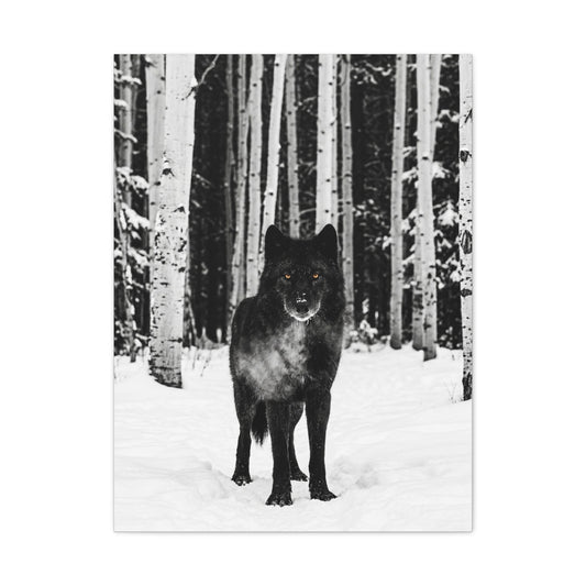 Snow Forest Black Wolf Minimal Scene Wall Art & Canvas Print