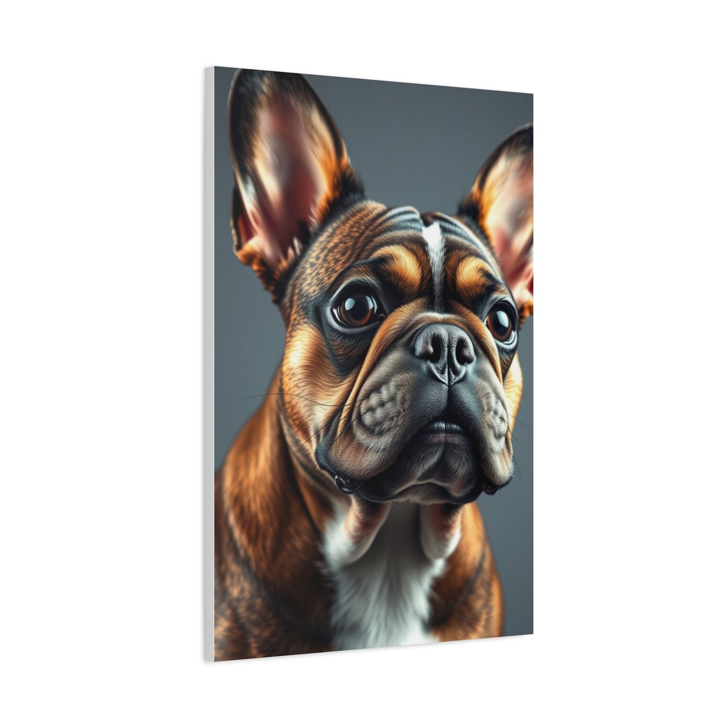 French Bulldog Art Supreme Gallery Wall Art & Canvas Print