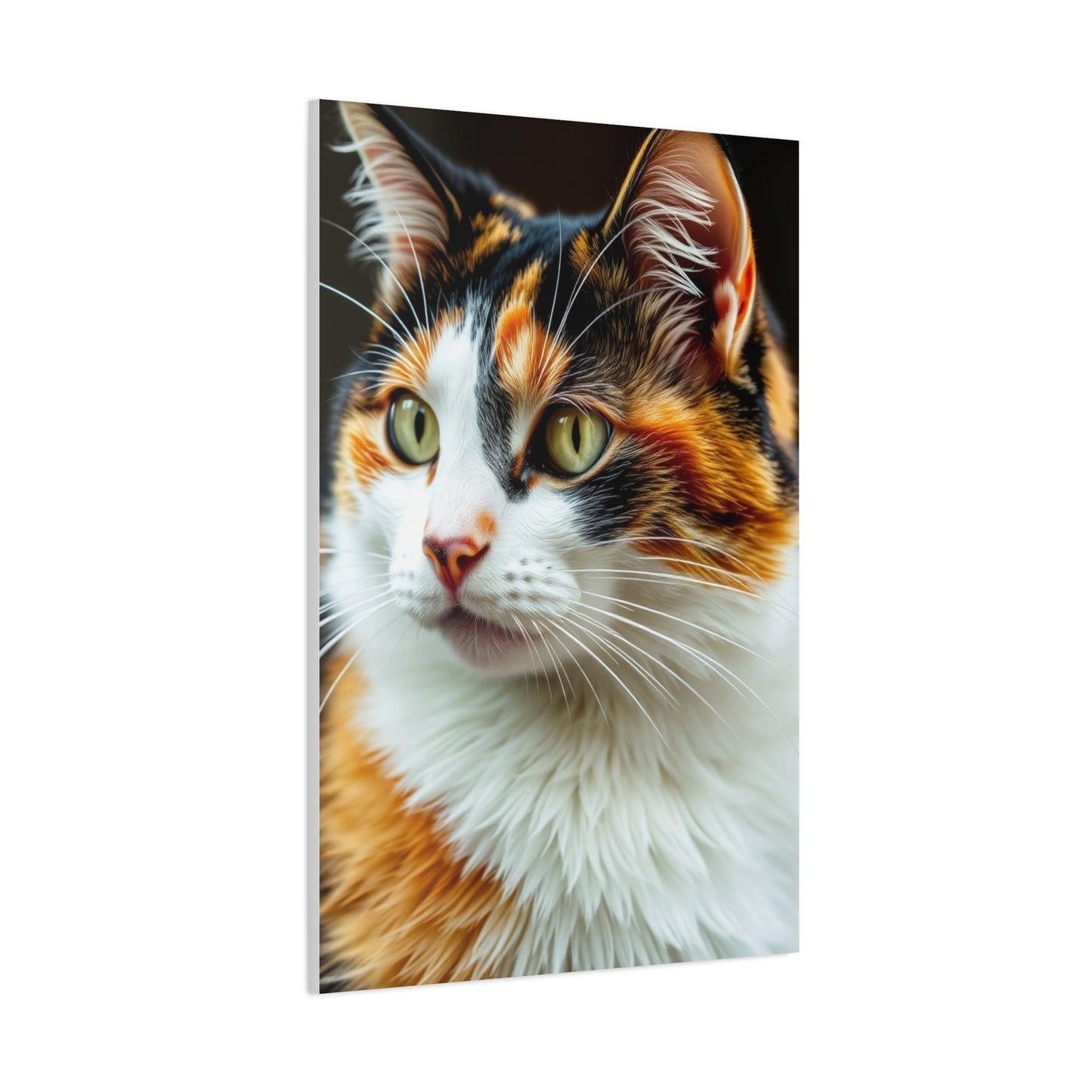Elite Calico Cat Art Vision Wall Art & Canvas Print