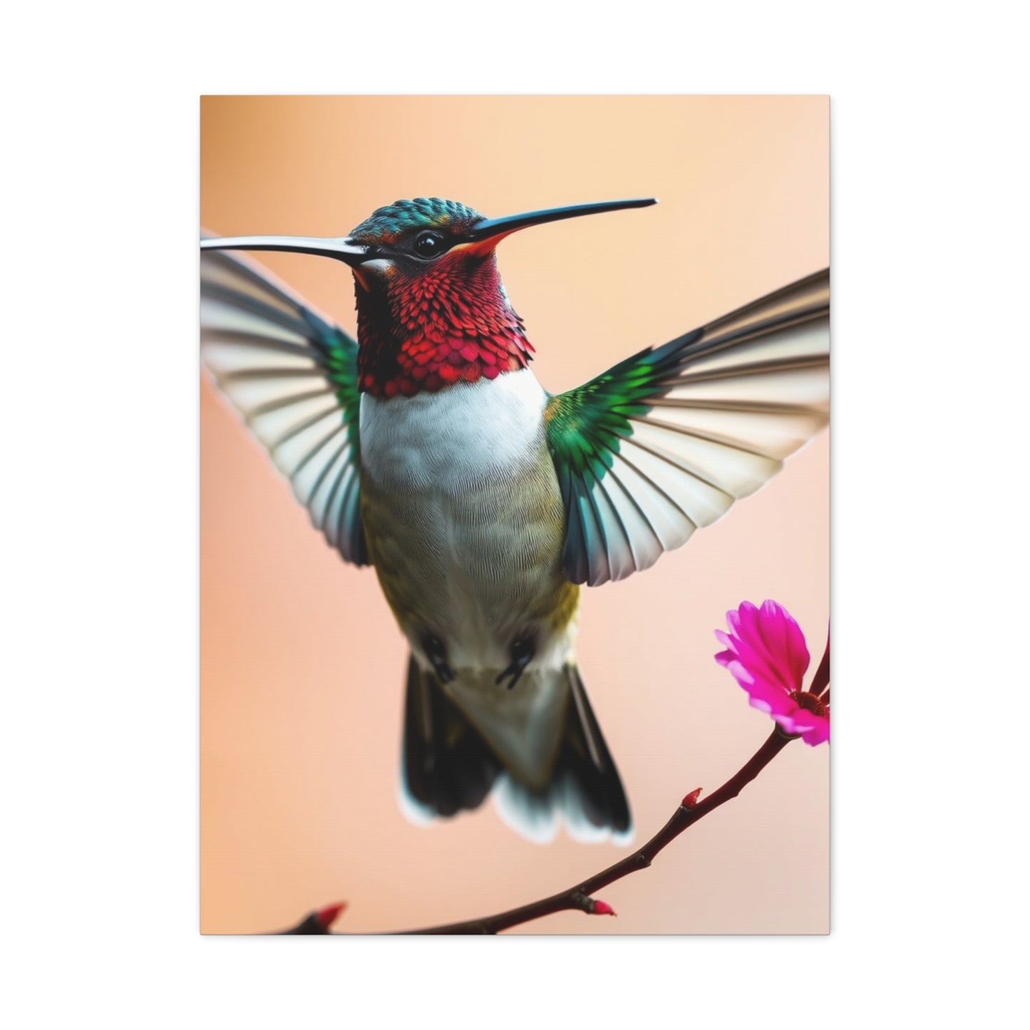Elite Humming Bird Art Vision Wall Art & Canvas Print