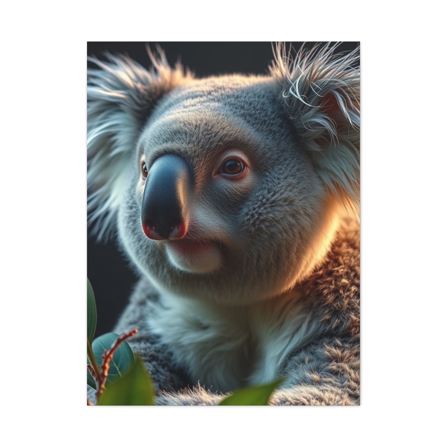 Supreme Koala Art Collection Wall Art & Canvas Print