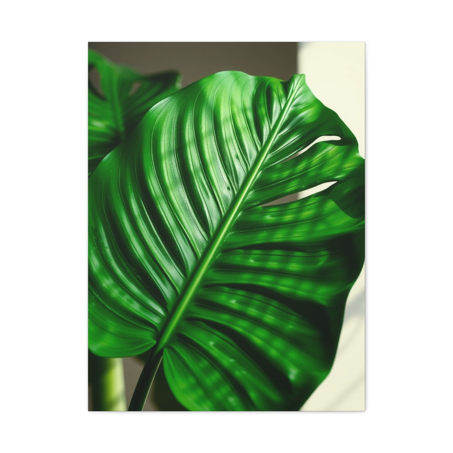 Supreme Monstera Plant Art Collection Wall Art & Canvas Print
