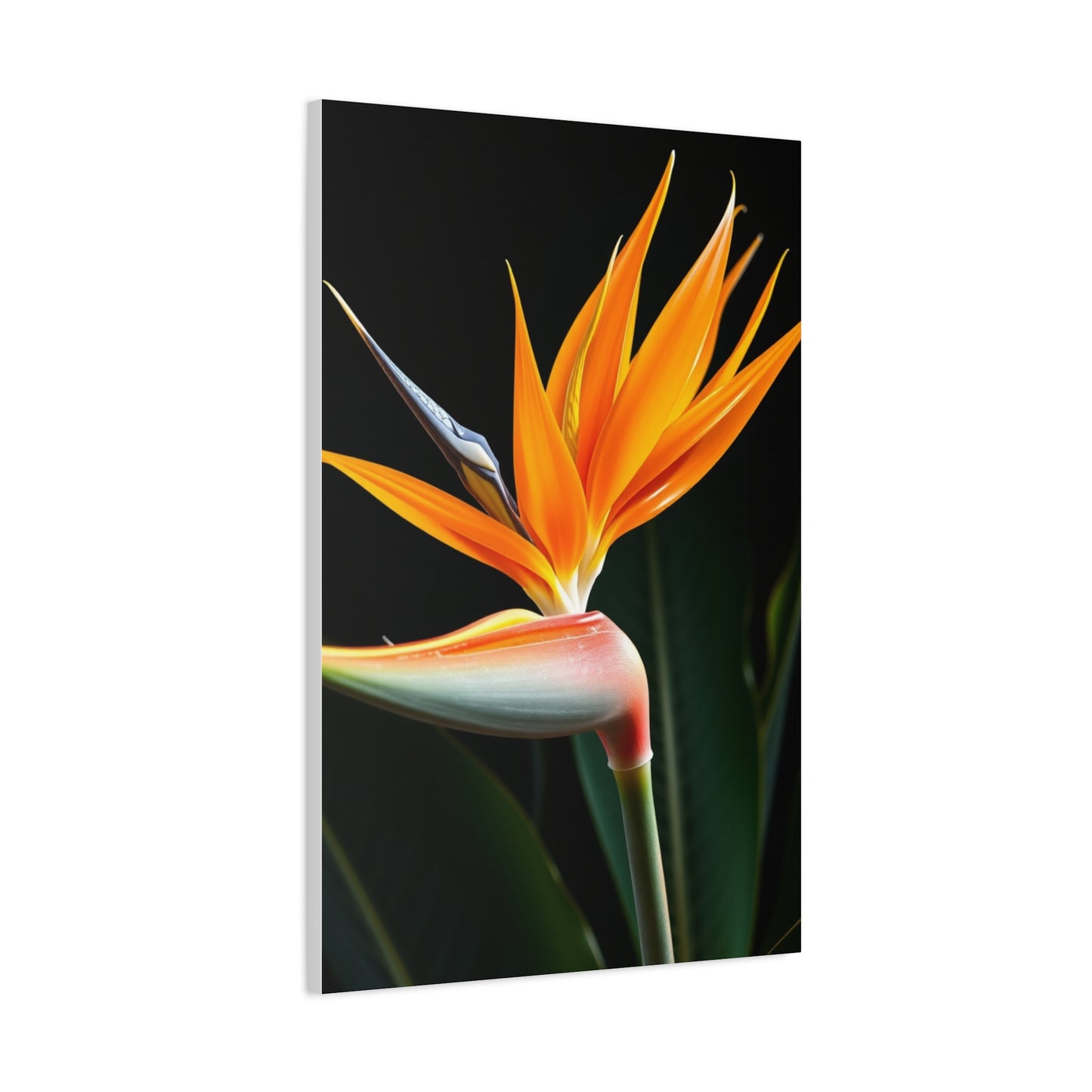 Vision Bird of Paradise Plant Art Art Wall Art & Canvas Print