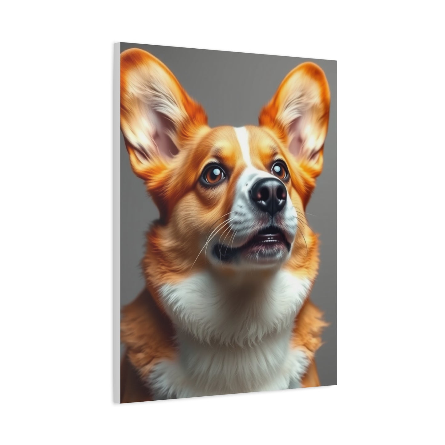 Corgi Dog Art Supreme Gallery Wall Art & Canvas Print