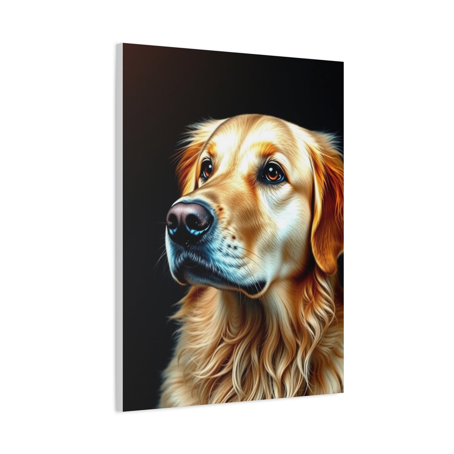 Supreme Golden Retriever Art Collection Wall Art & Canvas Print