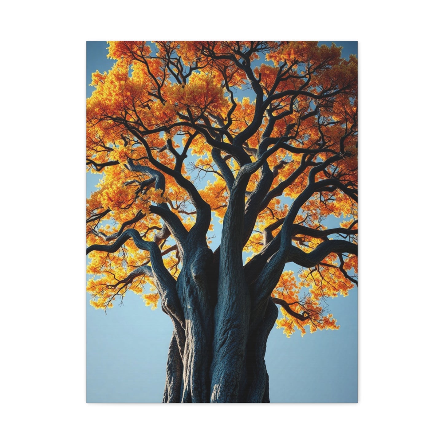 Oak Tree Art Supreme Gallery Wall Art & Canvas Print
