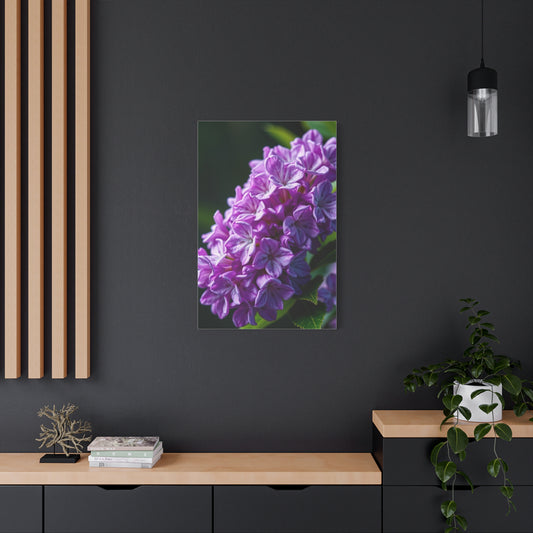 Supreme Lilac Flower Art Collection Wall Art & Canvas Print