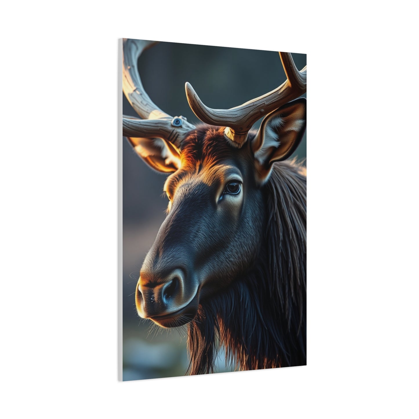 Elk Art Supreme Gallery Wall Art & Canvas Print