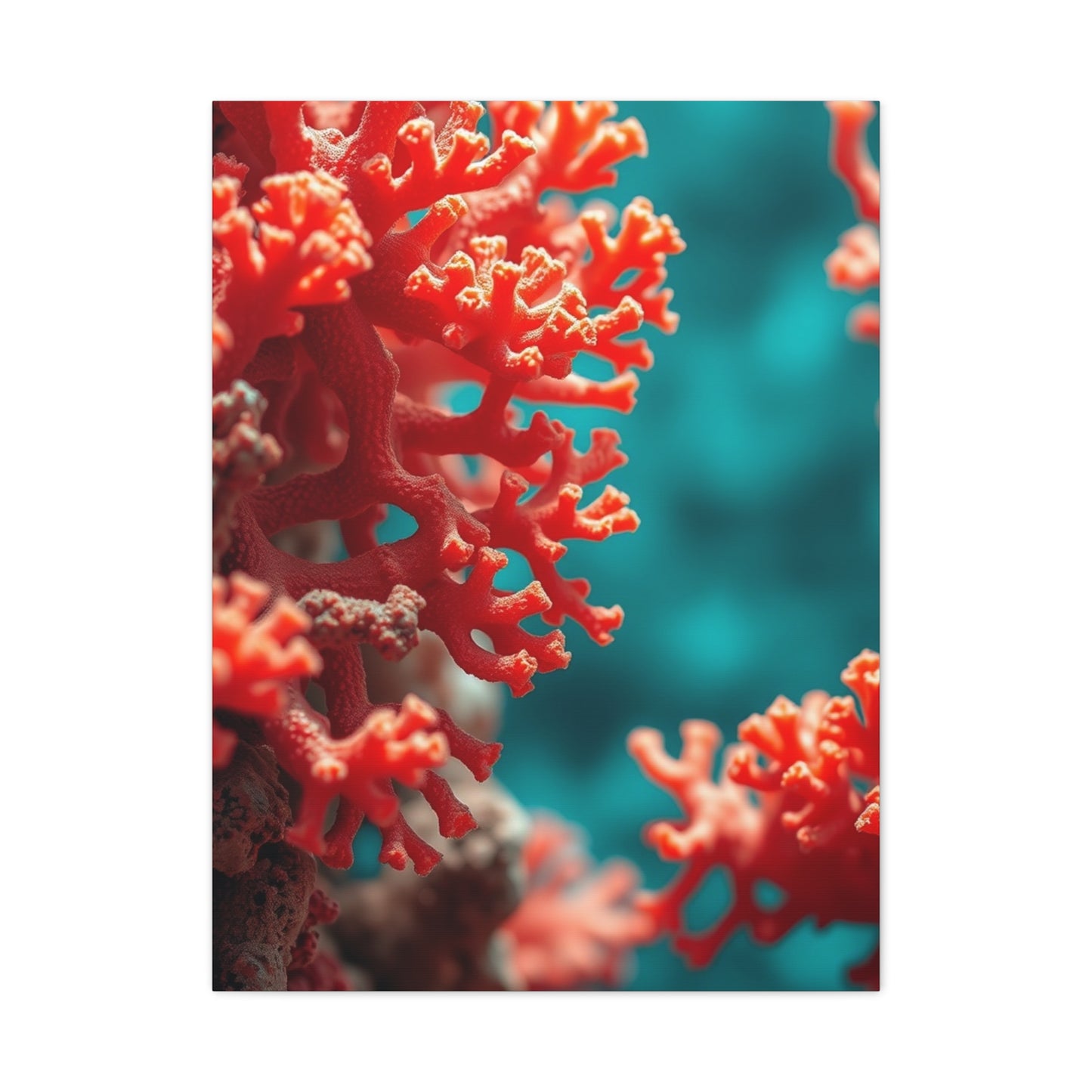 Supreme Coral Art Collection Wall Art & Canvas Print