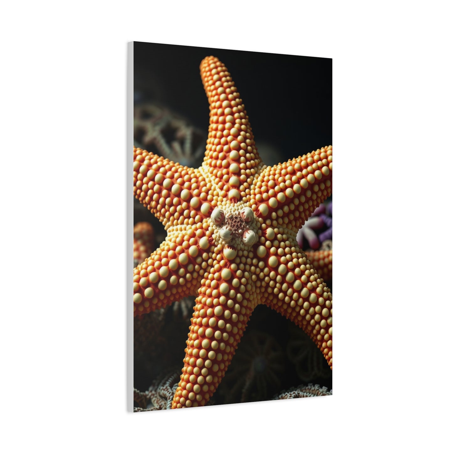 Supreme Starfish Art Collection Wall Art & Canvas Print