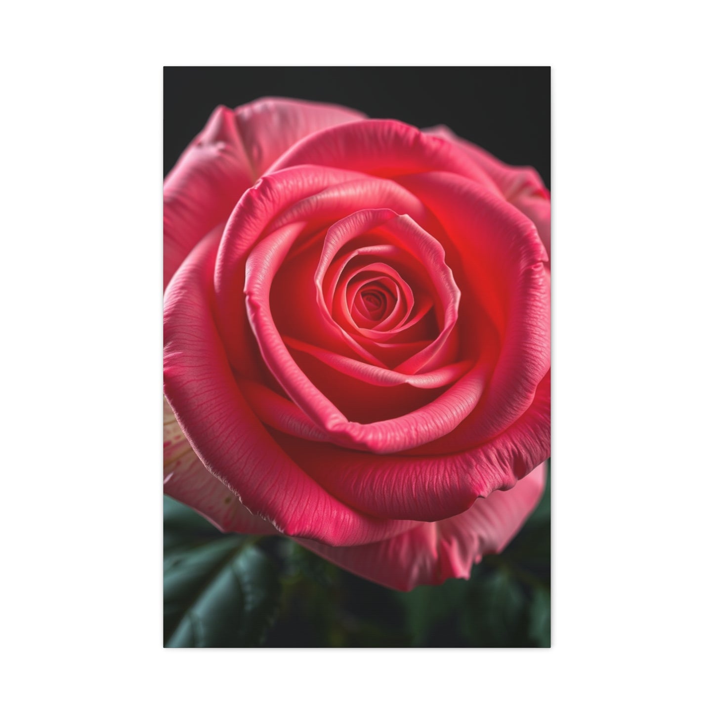 Supreme Rose Art Collection Wall Art & Canvas Print